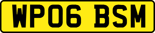 WP06BSM