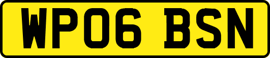 WP06BSN