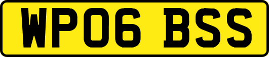 WP06BSS