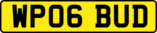 WP06BUD