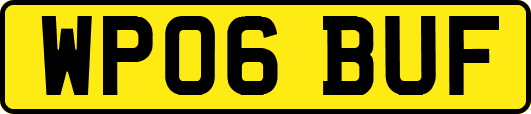 WP06BUF
