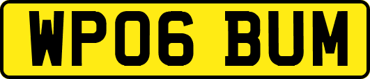 WP06BUM
