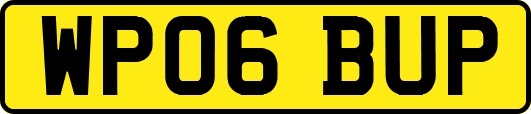 WP06BUP