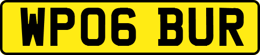 WP06BUR