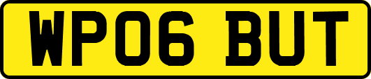 WP06BUT