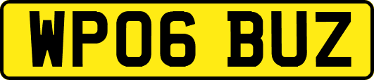 WP06BUZ