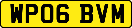 WP06BVM