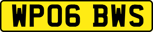 WP06BWS