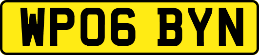 WP06BYN