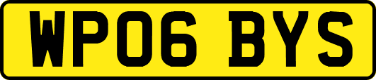 WP06BYS