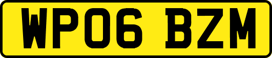 WP06BZM