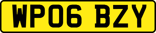 WP06BZY