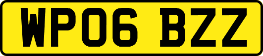 WP06BZZ