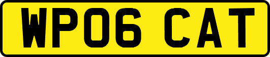 WP06CAT