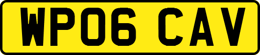 WP06CAV