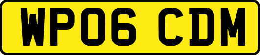 WP06CDM