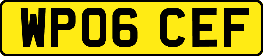 WP06CEF