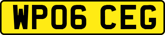 WP06CEG