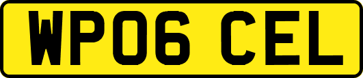 WP06CEL