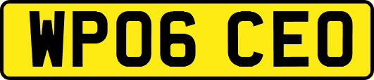 WP06CEO