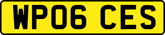 WP06CES