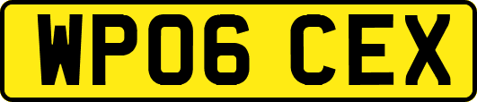 WP06CEX