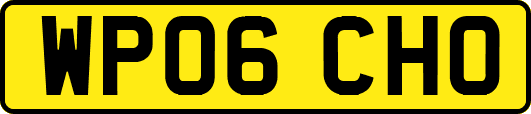 WP06CHO