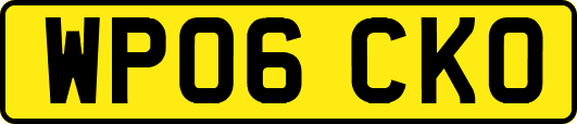 WP06CKO