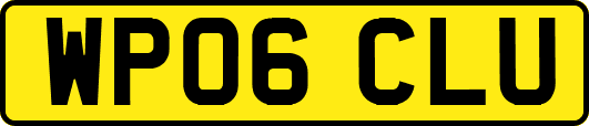 WP06CLU