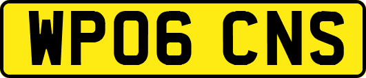 WP06CNS
