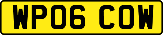 WP06COW