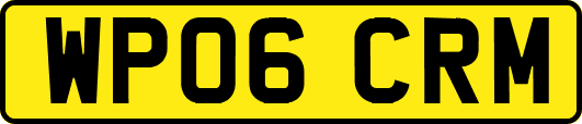 WP06CRM