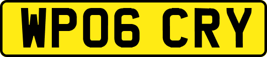 WP06CRY