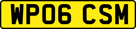 WP06CSM