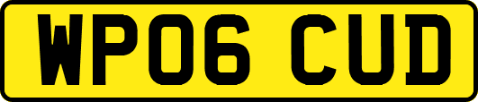 WP06CUD