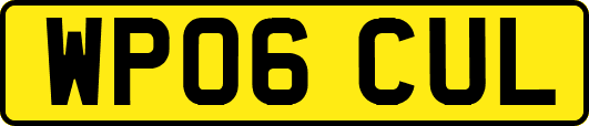 WP06CUL