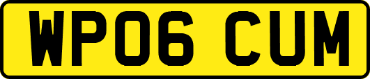 WP06CUM