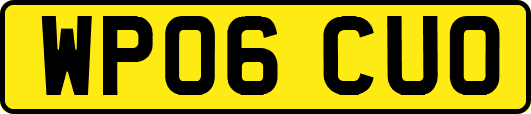 WP06CUO