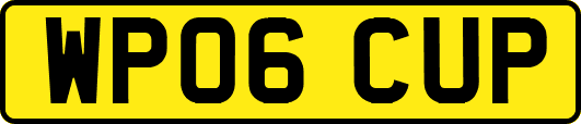 WP06CUP