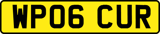 WP06CUR
