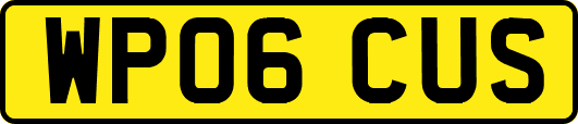 WP06CUS