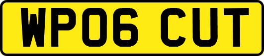 WP06CUT