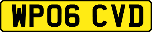 WP06CVD