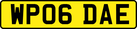 WP06DAE