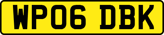 WP06DBK