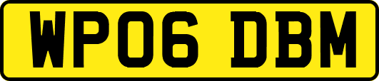 WP06DBM