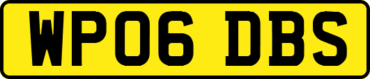 WP06DBS