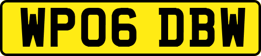 WP06DBW