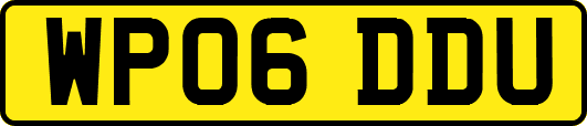 WP06DDU