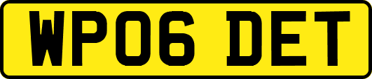 WP06DET